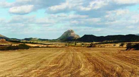 Growing Food in a Hotter Drier Land Image